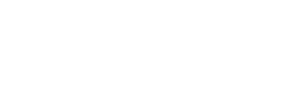 LEAP FORWARD