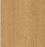 建具