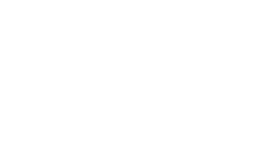 Double Link