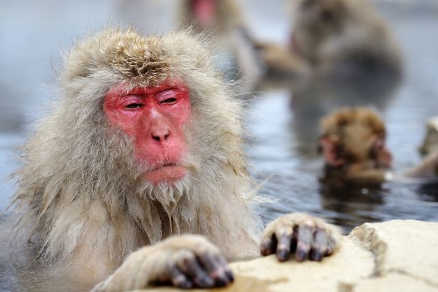 (写真=PIXTA)