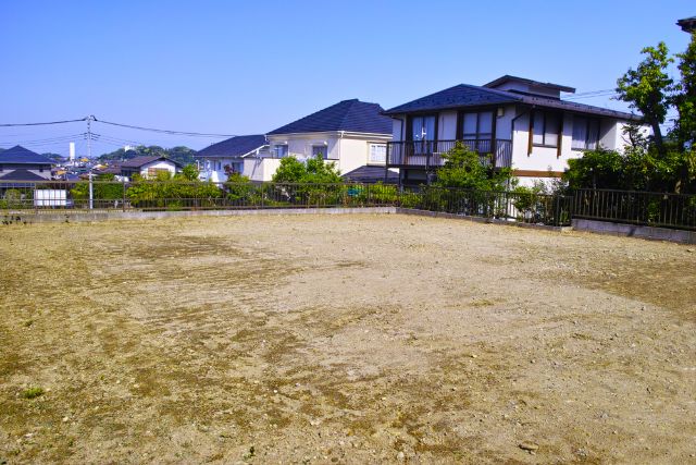 (写真=PIXTA)