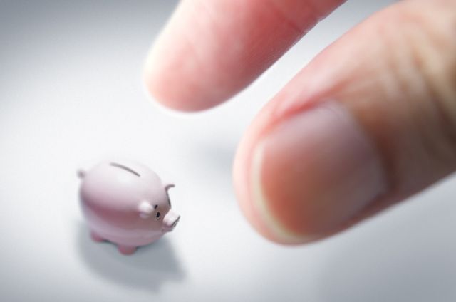 (写真=C. Fish Images/Shutterstock.com)