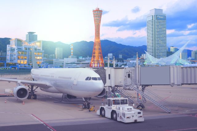 (写真=noina/Shutterstock.com)