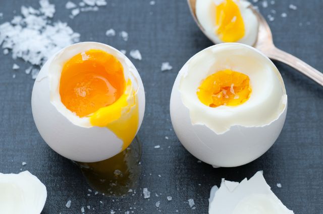 (写真=Alp Aksoy/Shutterstock.com)