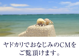 環境にも暮らしにも優しい、これからのエコライフ。