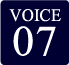 VOICE 07