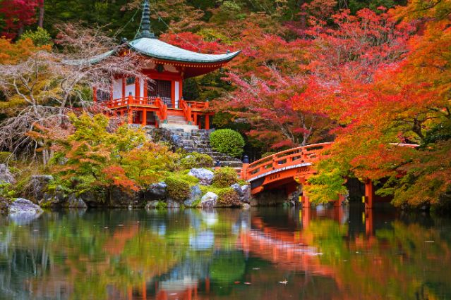 なぜ、あの不動産投資家は“京都”ばかりに集中投資をするのか？
